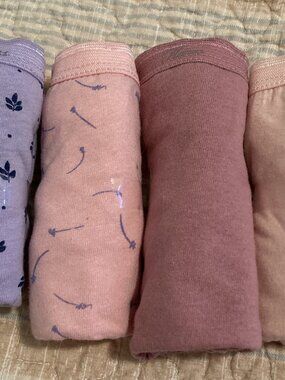 Hanes NWT Pastel Pink Lavendar Womens Briefs Size 7